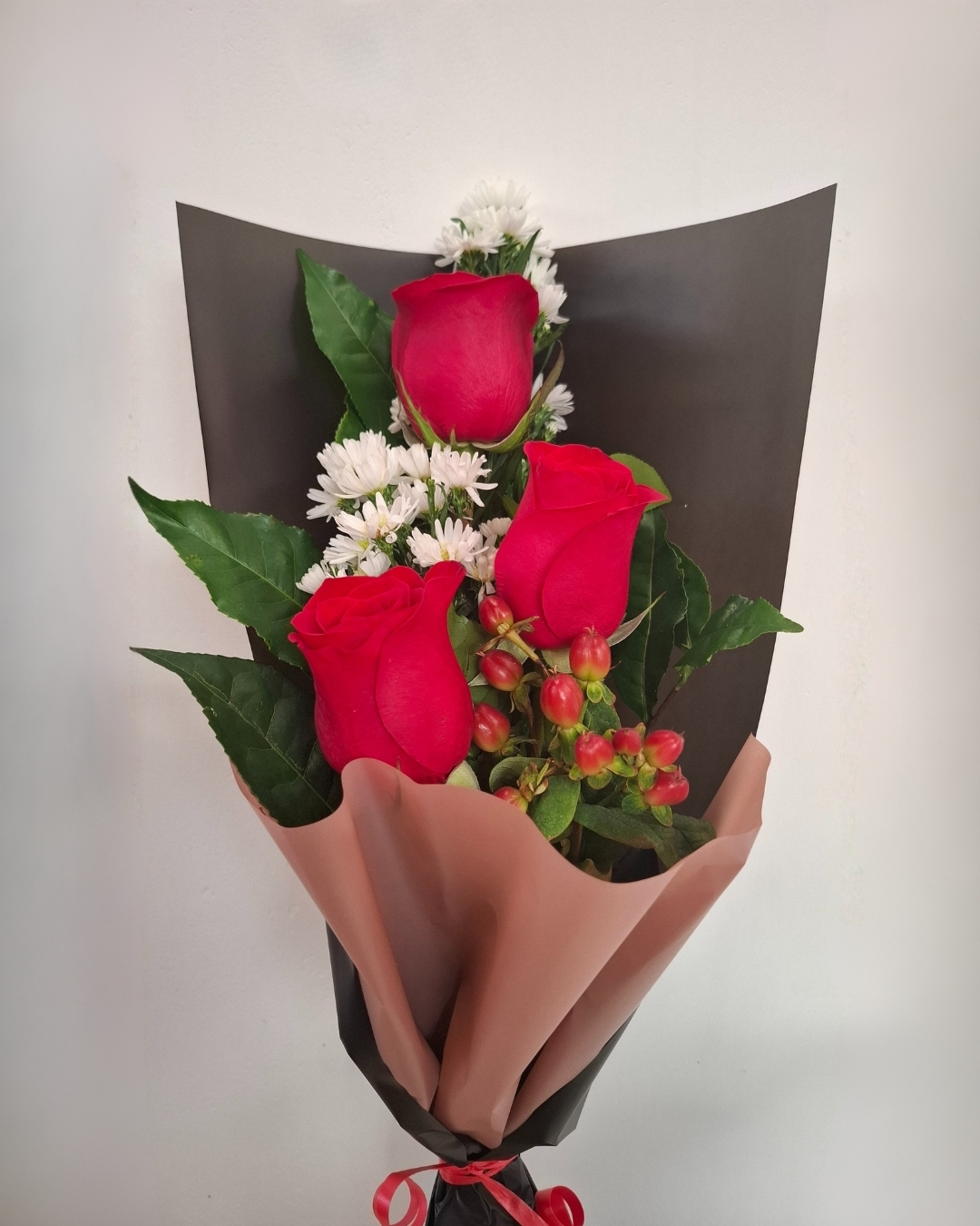 Nova con Rosas Rojas | PRS-964 1