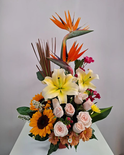 Solaris Tropical en Cerámica Floral | BCE-001