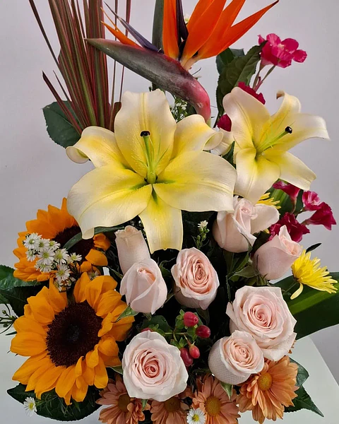 Solaris Tropical en Cerámica Floral | BCE-001