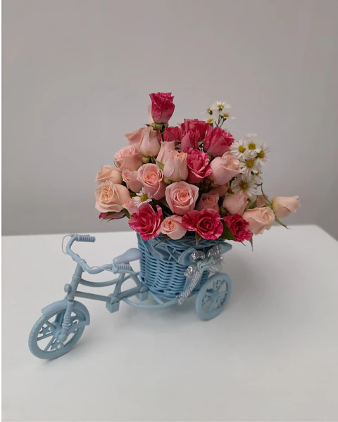 Celeste con Mini Rosas | CAR-004