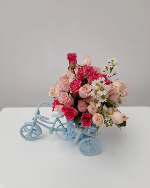 Celeste con Mini Rosas | CAR-004