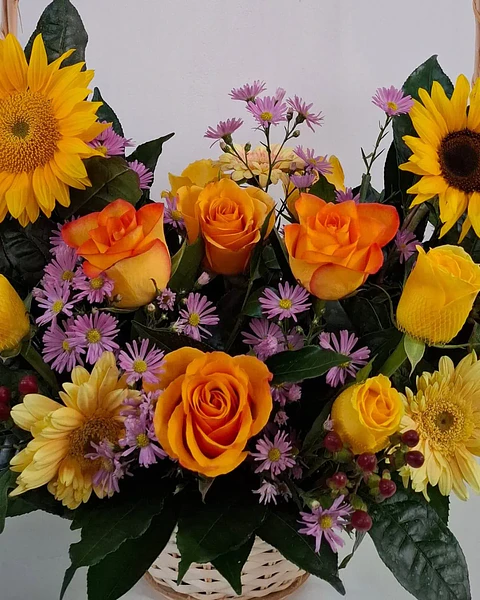 Solaria en Canasta Floral | CAN-028