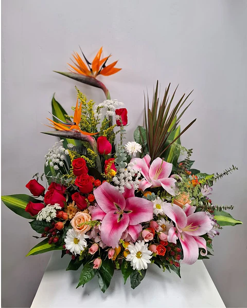 Imperio Tropical en Canasta Floral | CAN-005