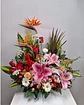 Imperio Tropical en Canasta Floral | CAN-005 - Miniatura 1