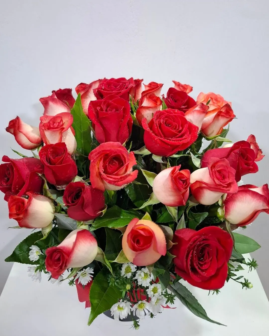Celeste Mix en Box Floral | PRS-908 2