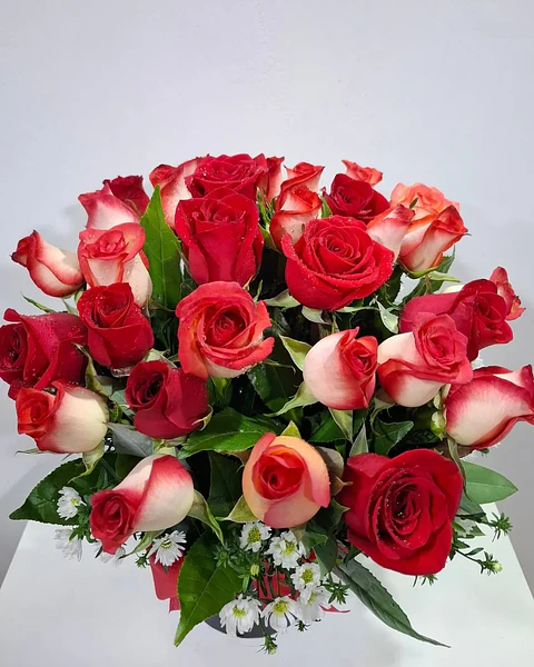 Celeste Mix en Box Floral | PRS-908