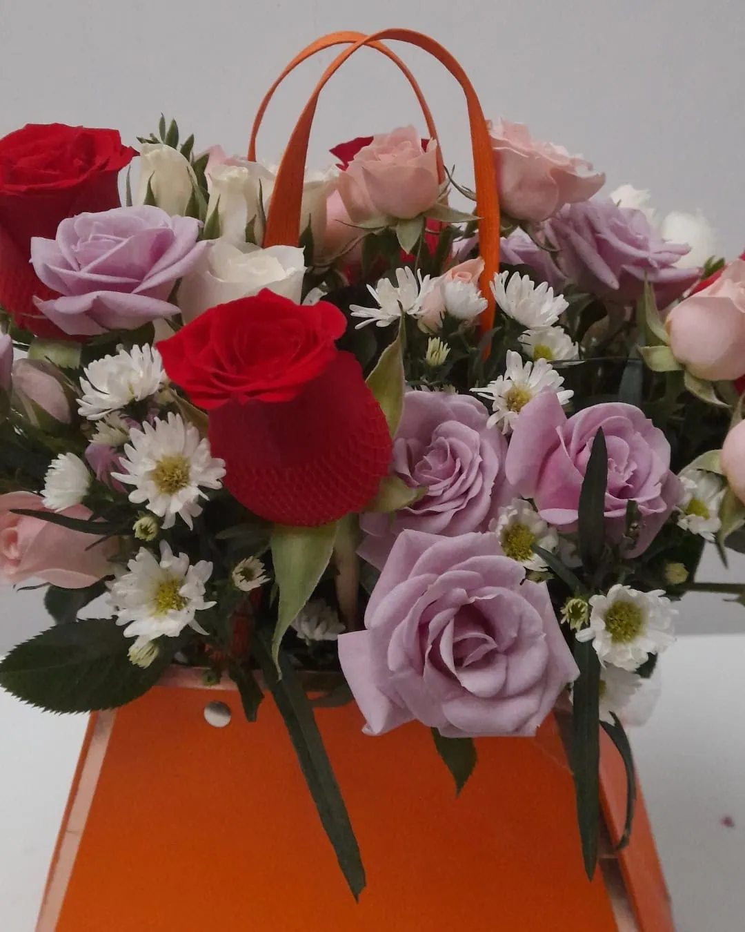 Carmesí en Carterita Floral | OCC-006 3