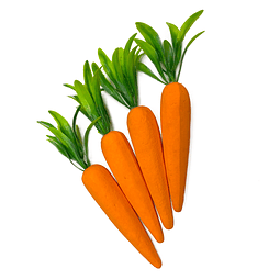 Zanahoria 14cm 4 Uni