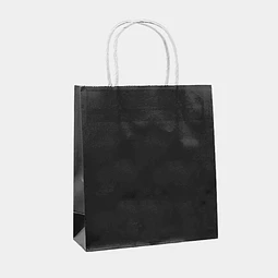 Bolsa Negra 25X33X12Cm 1 Uni