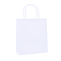 Bolsa Blanca 25X33X12Cm 1 Uni