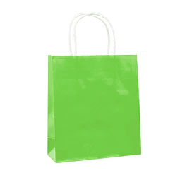 Bolsa Verde Lima 25X33X12Cm 1 Uni