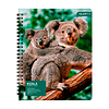 Cuaderno Universitario Tapa Dura Fauna 100Hjs 7Mm 1 Uni