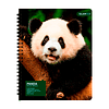 Cuaderno Universitario Tapa Dura Fauna 100Hjs 7Mm 1 Uni