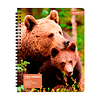 Cuaderno Universitario Tapa Dura Fauna 100Hjs 7Mm 1 Uni