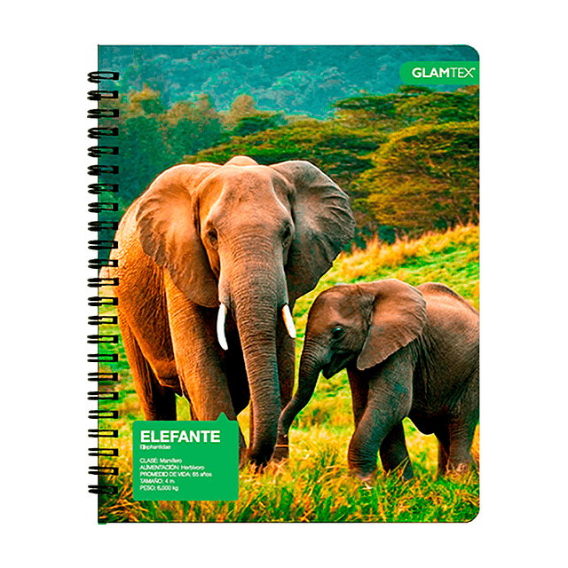 Cuaderno Universitario Tapa Dura Fauna 100Hjs 7Mm 1 Uni