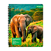 Cuaderno Universitario Tapa Dura Fauna 100Hjs 7Mm 1 Uni