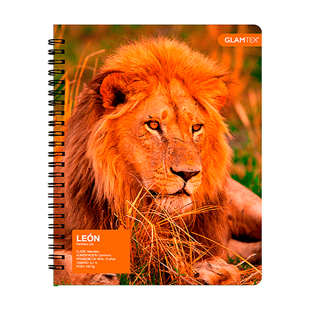 Cuaderno Universitario Tapa Dura Fauna 100Hjs 7Mm 1 Uni