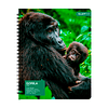 Cuaderno Universitario Tapa Dura Fauna 100Hjs 7Mm 1 Uni