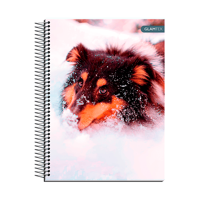 Cuaderno Carta Tapa Extra Dura Mascotas 120Hjs 7Mm 1 Uni