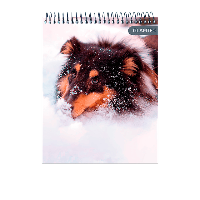 Croquera Tapa Extra Dura Mascotas 16 X 21 Cm 80Hj 80 1/2 Oficio Gr 1 Uni