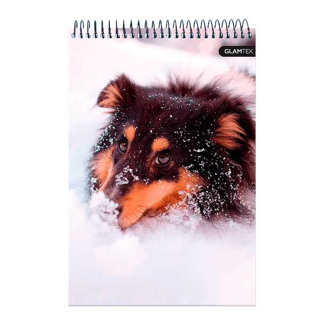 Croquera Tapa Extra Dura Mascotas 21 X 32 Cm 80Hjs 80 Gr Oficio 1 Uni