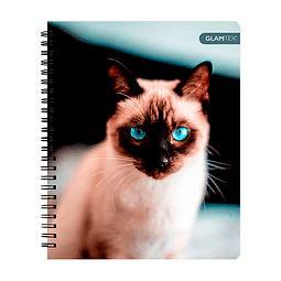 Cuaderno Universitario Mascotas Tapa Dura 100Hjs 7Mm 1 Uni
