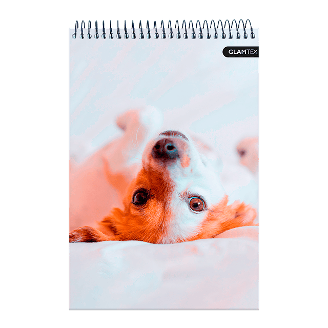 Croquera Tapa Extra Dura Mascotas 21 X 32 Cm 80Hjs 80 Gr Oficio 1 Uni