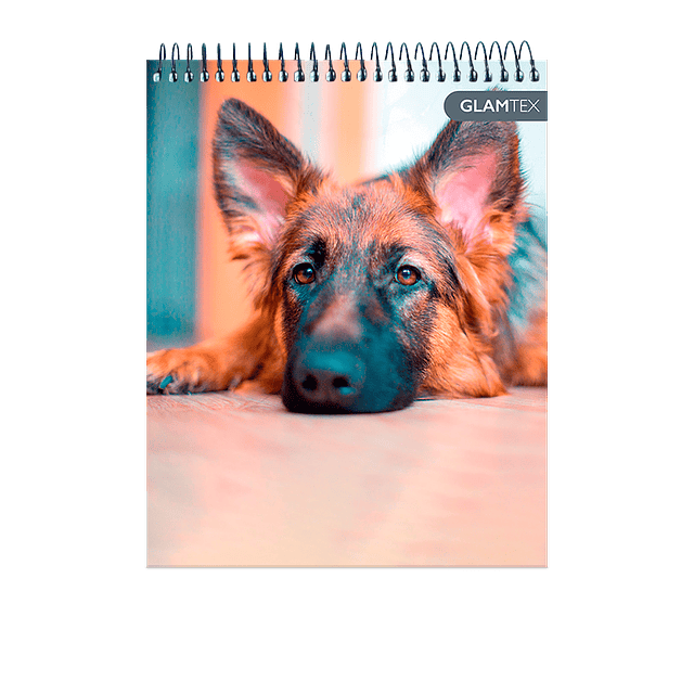 Croquera Tapa Extra Dura Mascotas 16 X 21 Cm 80Hj 80 1/2 Oficio Gr 1 Uni