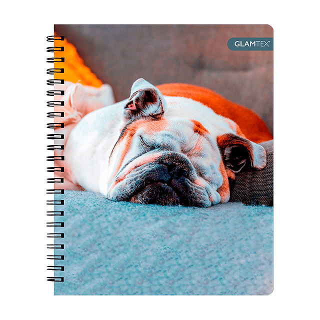 Cuad Universitario Mascotas Tapa Dura 100Hjs 7Mm 1 Uni