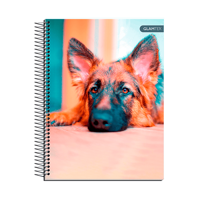 Cuaderno Carta Tapa Extra Dura Mascotas 120Hjs 7Mm 1 Uni