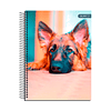 Cuaderno Carta Tapa Extra Dura Mascotas 120Hjs 7Mm 1 Uni