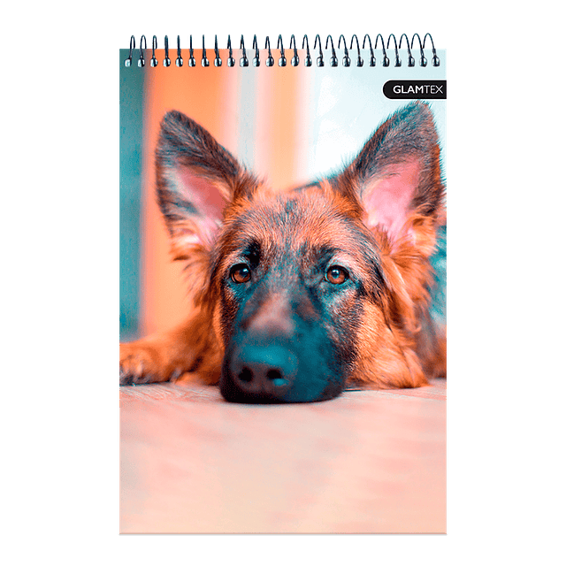 Croquera Tapa Extra Dura Mascotas 21 X 32 Cm 80Hjs 80 Gr Oficio 1 Uni