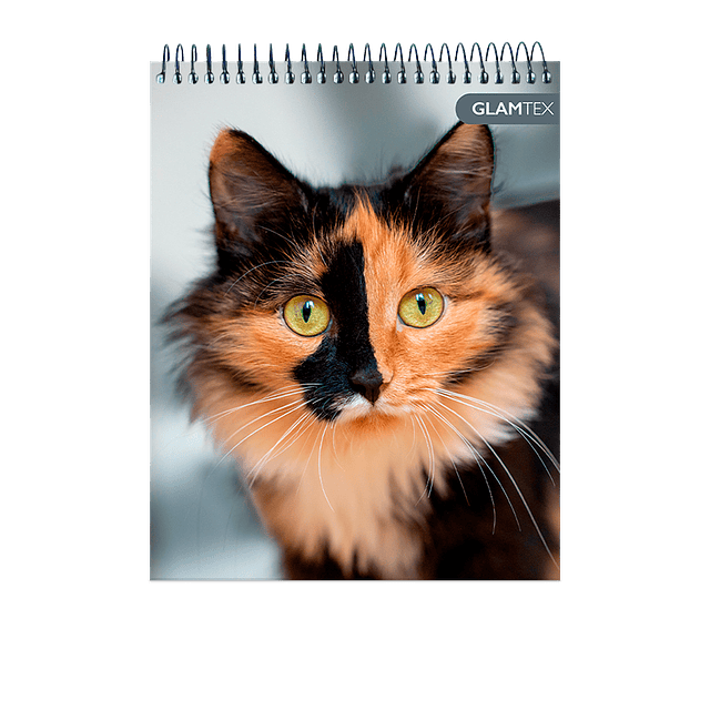 Croquera Tapa Extra Dura Mascotas 16 X 21 Cm 80Hj 80 1/2 Oficio Gr 1 Uni