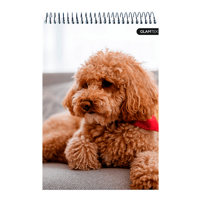 Croquera Tapa Extra Dura Mascotas 21 X 32 Cm 80Hjs 80 Gr Oficio 1 Uni