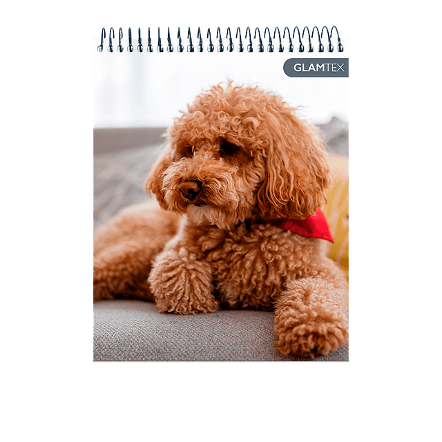 Croquera Tapa Extra Dura Mascotas 16 X 21 Cm 80Hj 80 1/2 Oficio Gr 1 Uni