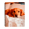 Cuad Universitario Mascotas Tapa Dura 100Hjs 7Mm 1 Uni