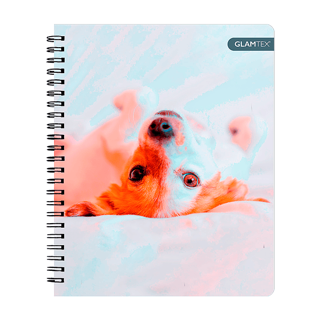 Cuad Universitario Mascotas Tapa Dura 100Hjs 7Mm 1 Uni