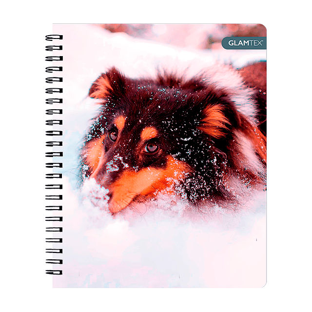 Cuad Universitario Mascotas Tapa Dura 100Hjs 7Mm 1 Uni