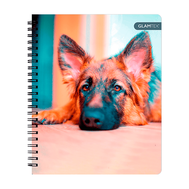 Cuad Universitario Mascotas Tapa Dura 100Hjs 7Mm 1 Uni