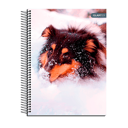 Cuaderno Carta Tapa Extra Dura Mascotas 120Hjs 7Mm 1 Uni