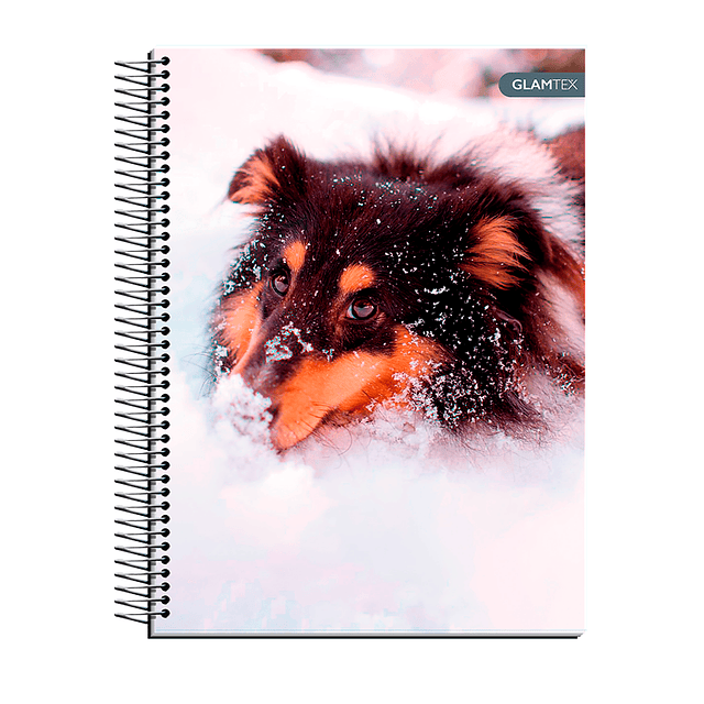 Cuaderno Carta Tapa Extra Dura Mascotas 120Hjs 7Mm 1 Uni