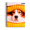 Cuaderno Carta Tapa Extra Dura Mascotas 120Hjs 7Mm 1 Uni