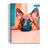 Cuaderno Carta Tapa Extra Dura Mascotas 120Hjs 7Mm 1 Uni