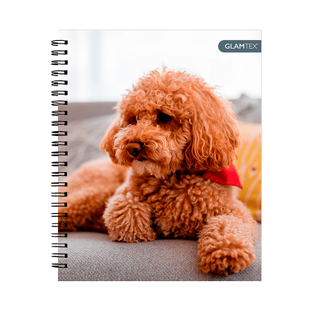 Cuaderno Univiversitario Top Tapa Extra Dura Mascotas 100Hjs 7Mm 1 Uni
