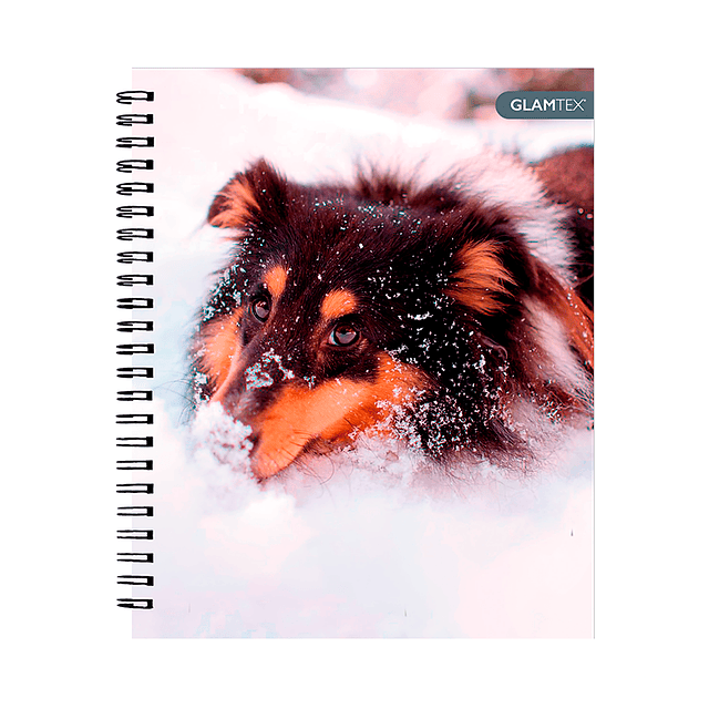 Cuaderno Univiversitario Top Tapa Extra Dura Mascotas 100Hjs 7Mm 1 Uni