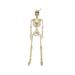 Engendro Calavera 60 Cm 1 Uni