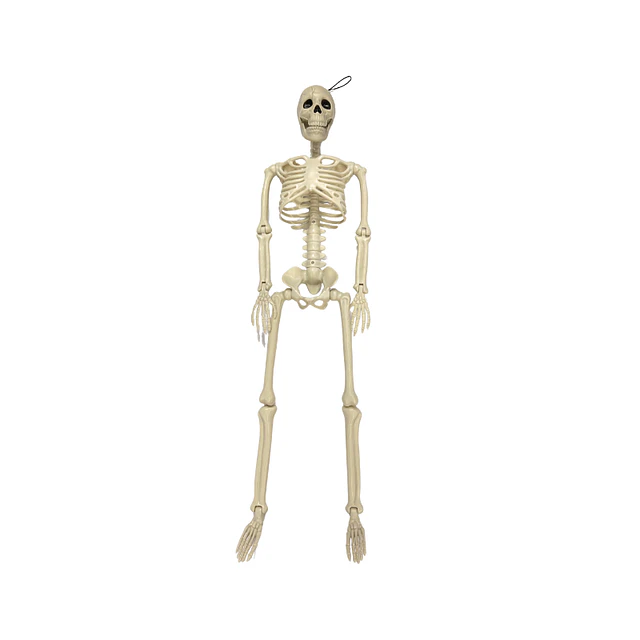 Engendro Calavera 60 Cm 1 Uni