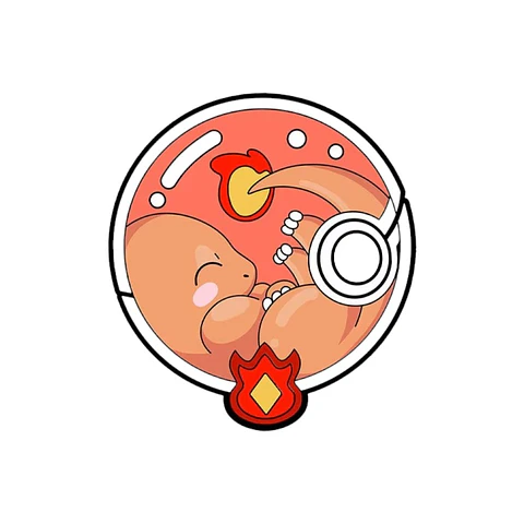 Pin Metálico Charmander Modelo 2 
