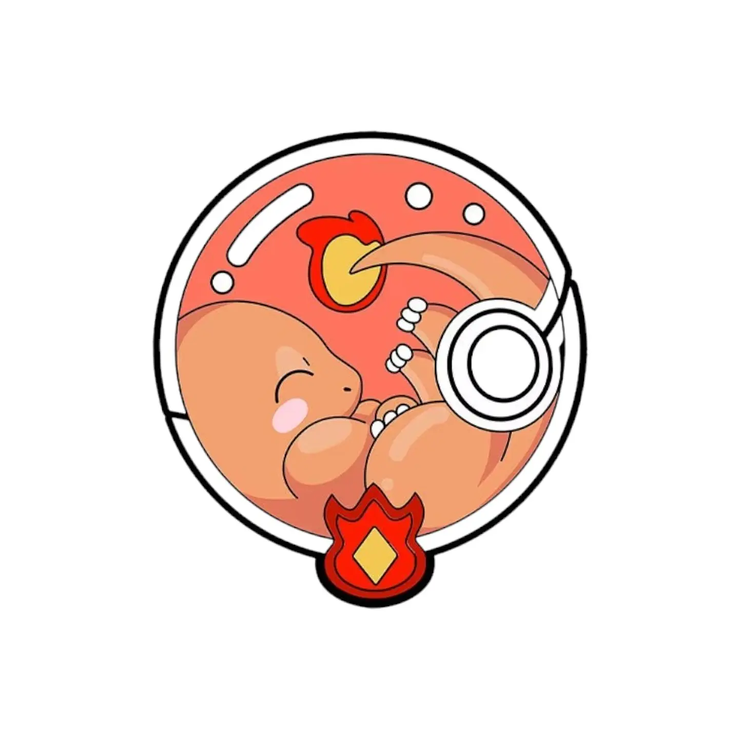 Pin Metálico Charmander Modelo 2  1