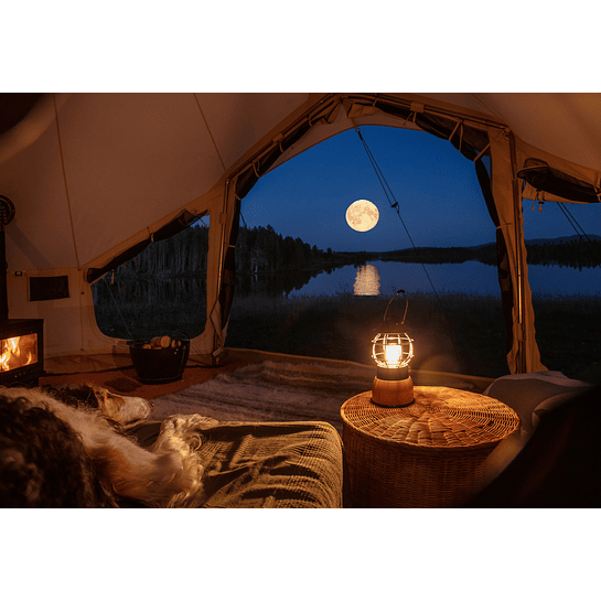 Sibley 520 APEX (22m²) | PREVENTA 8